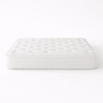 moderano_magicform_1