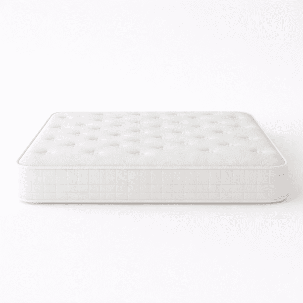 moderano_magicform_1