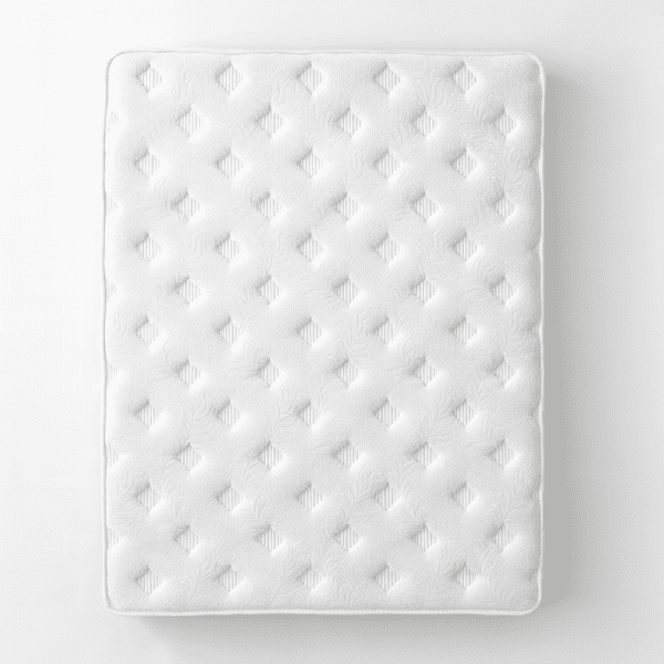 moderano_magicform_2