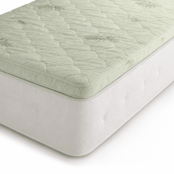 moderano_top_coconut_4